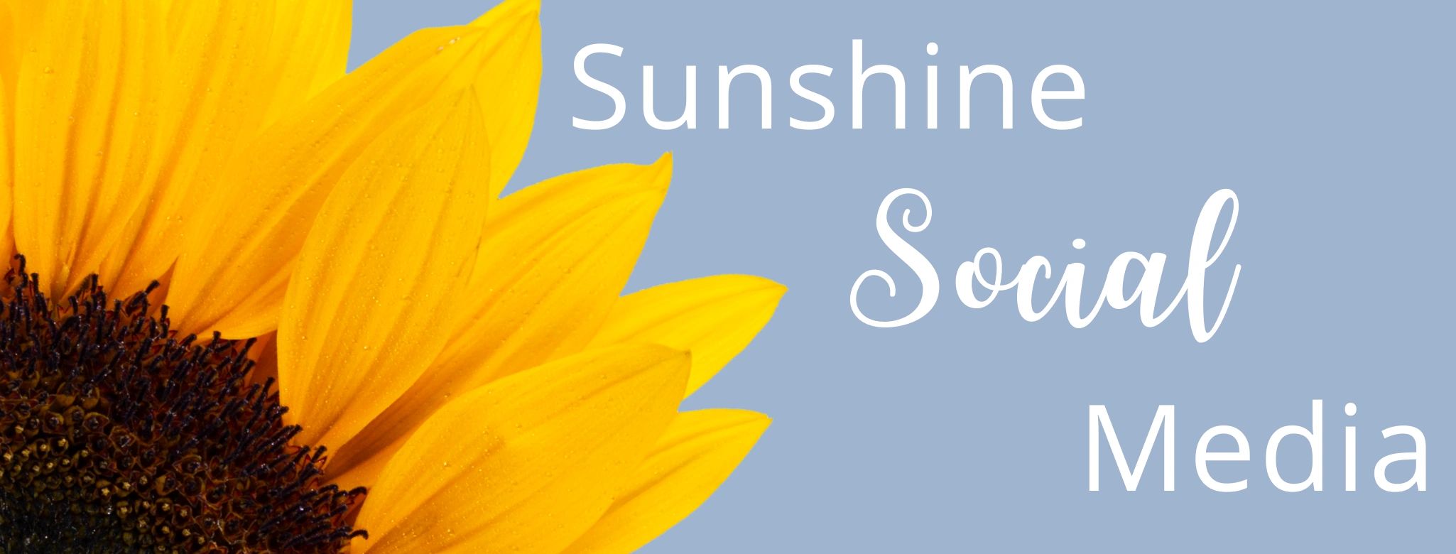 Sunshine Social Media, LLC